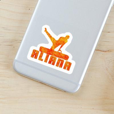 Sticker Aliana Turner Notebook Sticker Aliana Turner Notebook Image