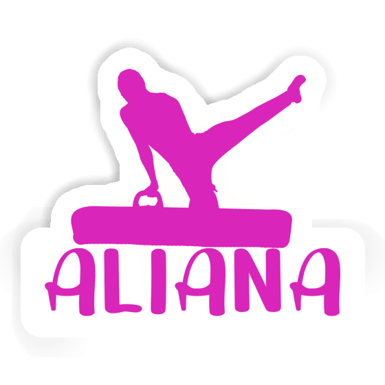 Aufkleber Turner Aliana Notebook Aufkleber Turner Aliana Notebook Image