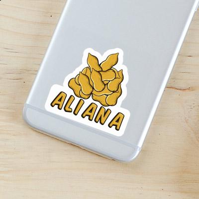 Aufkleber Erdnuss Aliana Notebook Aufkleber Erdnuss Aliana Gift package Image