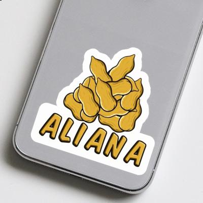 Nut Sticker Aliana Image