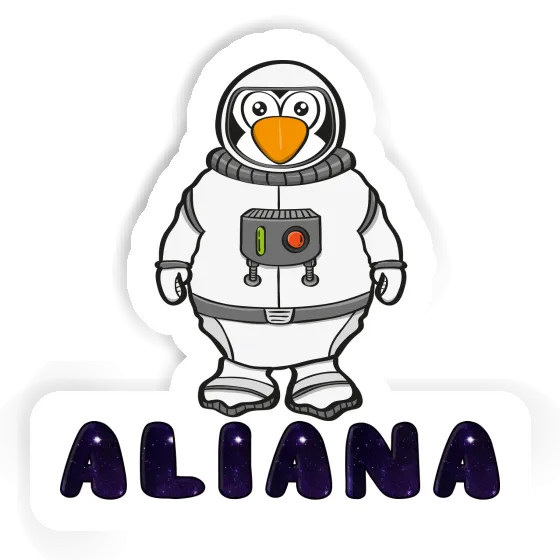 Sticker Astronaut Aliana Notebook Sticker Astronaut Aliana Gift package Image