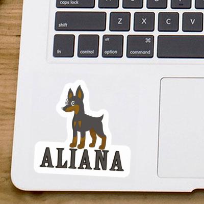 Aliana Autocollant Pinscher Laptop Aliana Autocollant Pinscher Laptop Image