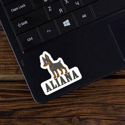 Sticker Pinscher Aliana Notebook Sticker Pinscher Aliana Gift package Image