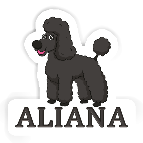 Autocollant Caniche Aliana Notebook Image
