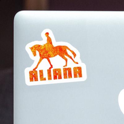 Aliana Autocollant Cavalière Notebook Aliana Autocollant Cavalière Gift package Image