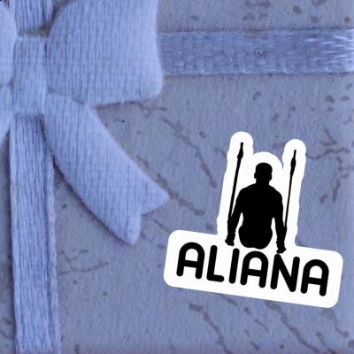 Aliana Sticker Ringturner Notebook Aliana Sticker Ringturner Gift package Image
