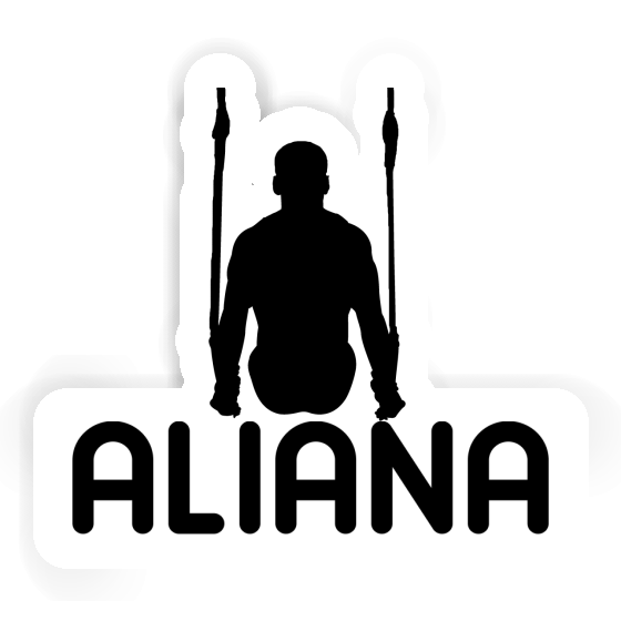 Aliana Sticker Ringturner Notebook Aliana Sticker Ringturner Gift package Image