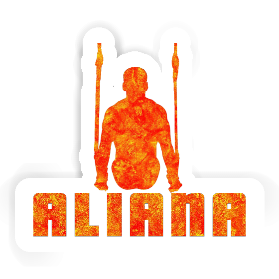Aliana Aufkleber Ringturner Notebook Aliana Aufkleber Ringturner Notebook Image