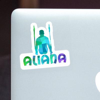 Sticker Aliana Ringturner Notebook Sticker Aliana Ringturner Gift package Image