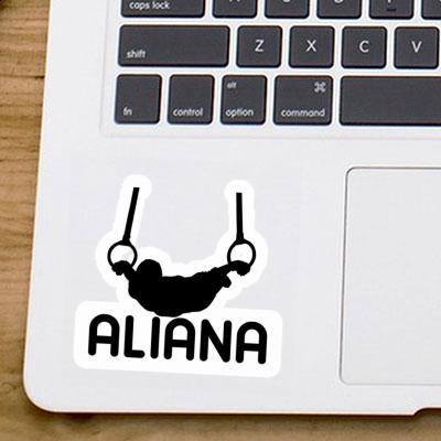 Sticker Aliana Ring gymnast Notebook Sticker Aliana Ring gymnast Gift package Image