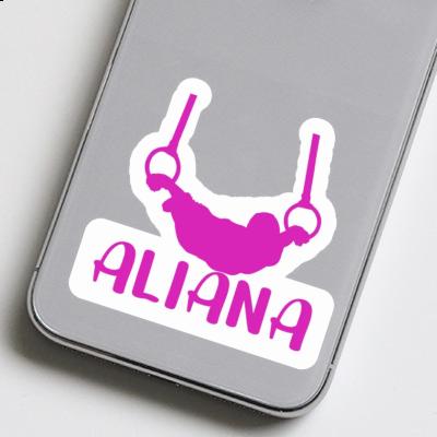Aliana Aufkleber Ringturnerin Gift package Image