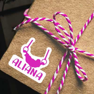 Ring gymnast Sticker Aliana Notebook Ring gymnast Sticker Aliana Gift package Image