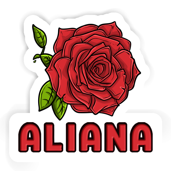 Rosenblüte Sticker Aliana Notebook Rosenblüte Sticker Aliana Gift package Image