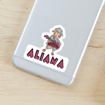 Aliana Sticker Guitarist Laptop Aliana Sticker Guitarist Laptop Image