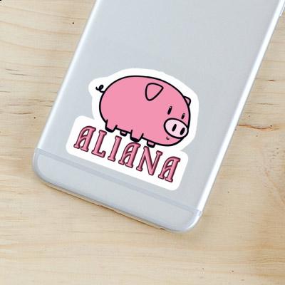 Pig Sticker Aliana Notebook Pig Sticker Aliana Gift package Image