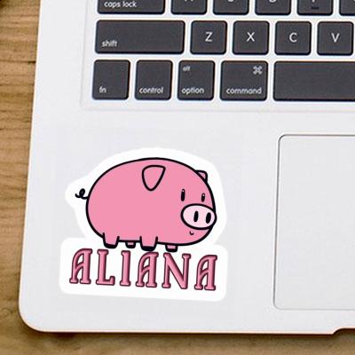 Pig Sticker Aliana Notebook Pig Sticker Aliana Gift package Image