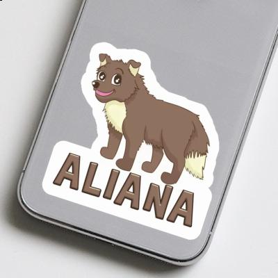 Sticker Aliana Hirtenhund Gift package Image