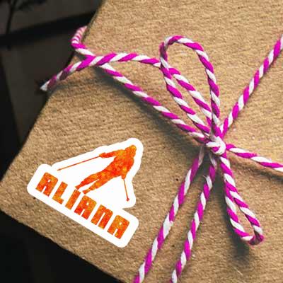 Skieuse Autocollant Aliana Notebook Image