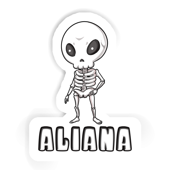 Sticker Aliana Skeleton Notebook Sticker Aliana Skeleton Gift package Image