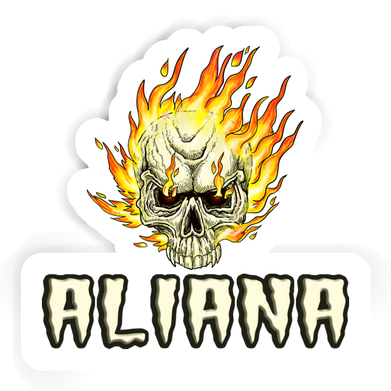Aliana Sticker Totenkopf Notebook Aliana Sticker Totenkopf Gift package Image