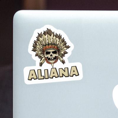 Aliana Sticker Totenkopf Notebook Aliana Sticker Totenkopf Notebook Image