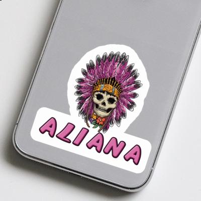 Aliana Sticker Lady Totenkopf Notebook Aliana Sticker Lady Totenkopf Gift package Image