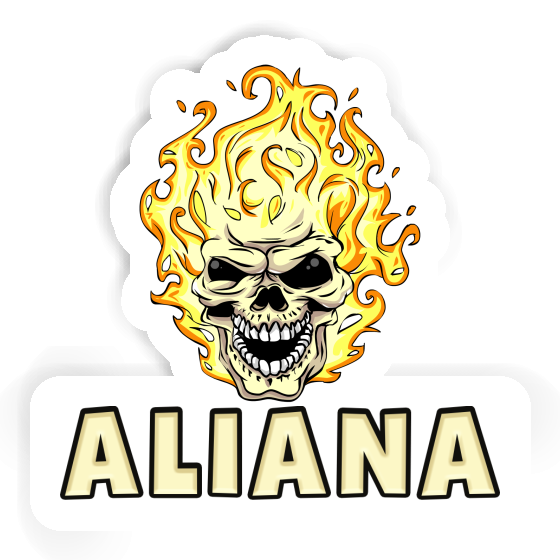Aliana Sticker Totenkopf Notebook Aliana Sticker Totenkopf Notebook Image