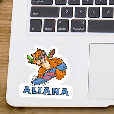 Aufkleber Aliana Ridergirl Notebook Aufkleber Aliana Ridergirl Gift package Image