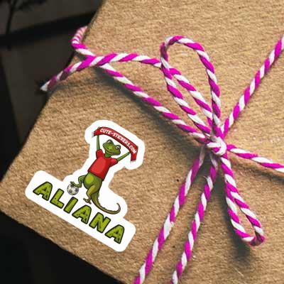 Aliana Autocollant Lézard Notebook Aliana Autocollant Lézard Gift package Image