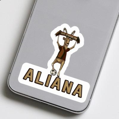 Aliana Autocollant Bouquetin Notebook Aliana Autocollant Bouquetin Gift package Image