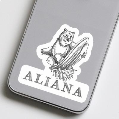 Autocollant Surfeur Aliana Notebook Autocollant Surfeur Aliana Gift package Image
