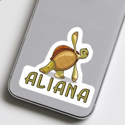 Aufkleber Aliana Yoga-Schildkröte Notebook Aufkleber Aliana Yoga-Schildkröte Gift package Image