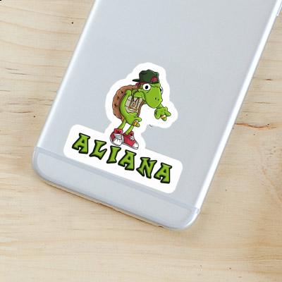 Hip Hopper Aufkleber Aliana Gift package Image