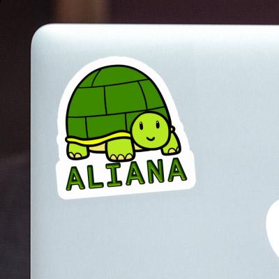 Autocollant Aliana Tortue Autocollant Aliana Tortue Image