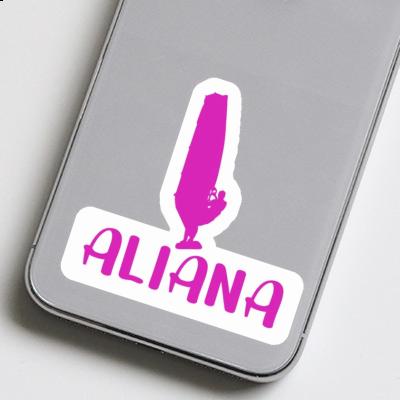 Aufkleber Aliana Windsurfer Aufkleber Aliana Windsurfer Image