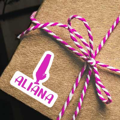Aufkleber Aliana Windsurfer Notebook Aufkleber Aliana Windsurfer Gift package Image