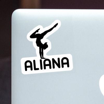 Yoga Woman Sticker Aliana Notebook Yoga Woman Sticker Aliana Gift package Image