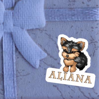Aliana Sticker Yorkie Notebook Aliana Sticker Yorkie Gift package Image