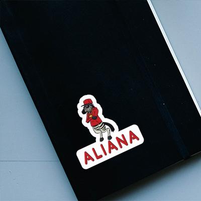 Autocollant Aliana Zebra Notebook Autocollant Aliana Zebra Gift package Image