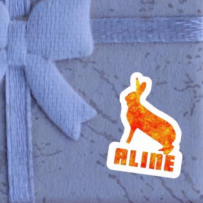 Rabbit Sticker Aline Gift package Image