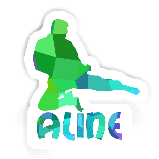 Sticker Karateka Aline Laptop Image