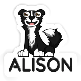 Alison Sticker Border Collie Image