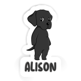 Alison Sticker Labrador Retriever Image