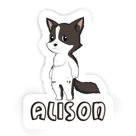 Border Collie Sticker Alison Image