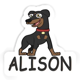 Alison Sticker Pinscher Image