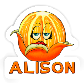 Alison Sticker Orange Image