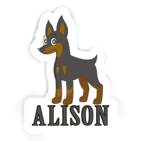 Pinscher Autocollant Alison Image