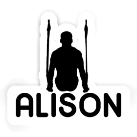 Alison Sticker Ring gymnast Image