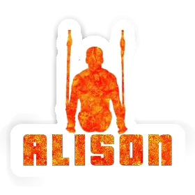 Alison Sticker Ring gymnast Image