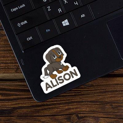 Alison Sticker Bernese Dog Laptop Image